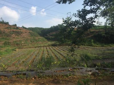 基地风采